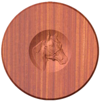 Horse Head   